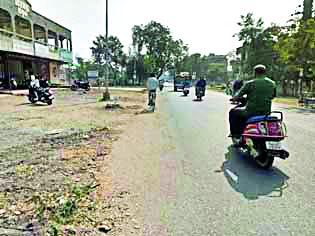 'The' trees that the contractor picked up | कंत्राटदाराने उचलली 'ती' झाडे 'The' trees that the contractor picked up | कंत्राटदाराने उचलली 'ती' झाडे
