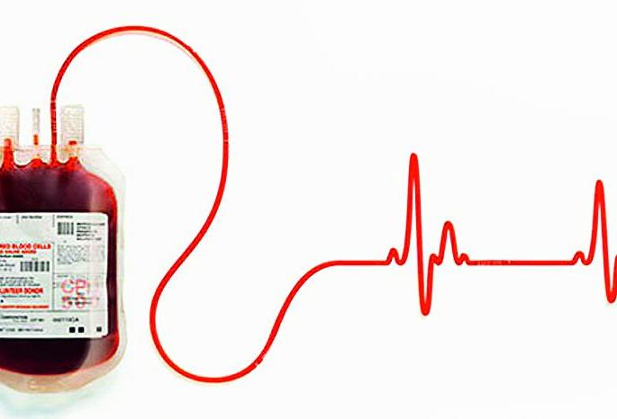 'Irwin' blood is frozen ... | ‘इर्विन’मध्ये रक्त गोठलेलेच... 'Irwin' blood is frozen ... | ‘इर्विन’मध्ये रक्त गोठलेलेच...