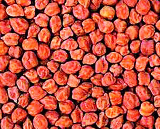 24 thousand farmers wind | २४ हजार शेतकरी वाऱ्यावर 24 thousand farmers wind | २४ हजार शेतकरी वाऱ्यावर