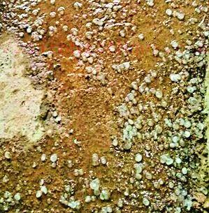 Hailstorms with windy rain | वादळी पावसासह गारपीट Hailstorms with windy rain | वादळी पावसासह गारपीट