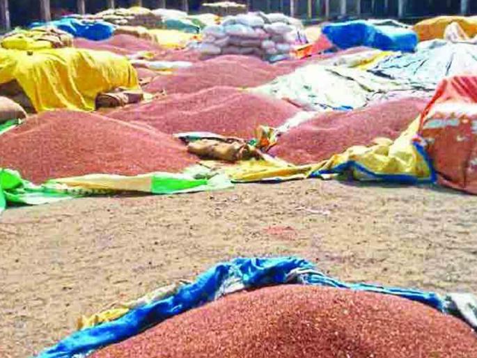 The purchase of tur to be stopped at Beed district centers: Even after the extension of two thousand farmers, 11 thousand farmers are deprived | बीड जिल्ह्यात केंद्रांवर तूर खरेदी पुन्हा बंद: दोन वेळा मुदतवाढ तरीही ११ हजार शेतकरी वंचित The purchase of tur to be stopped at Beed district centers: Even after the extension of two thousand farmers, 11 thousand farmers are deprived | बीड जिल्ह्यात केंद्रांवर तूर खरेदी पुन्हा बंद: दोन वेळा मुदतवाढ तरीही ११ हजार शेतकरी वंचित