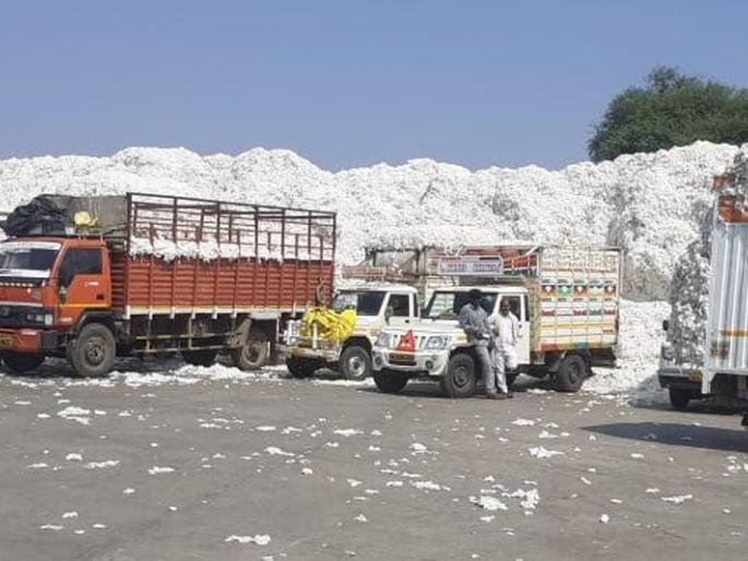 Keep the cotton shopping simple, otherwise the collector will agitate before the office | कापूस खरेदी सुरळीत ठेवा, अन्यथा कलेक्टर कचेरीसमोर आंदोलन करणार Keep the cotton shopping simple, otherwise the collector will agitate before the office | कापूस खरेदी सुरळीत ठेवा, अन्यथा कलेक्टर कचेरीसमोर आंदोलन करणार
