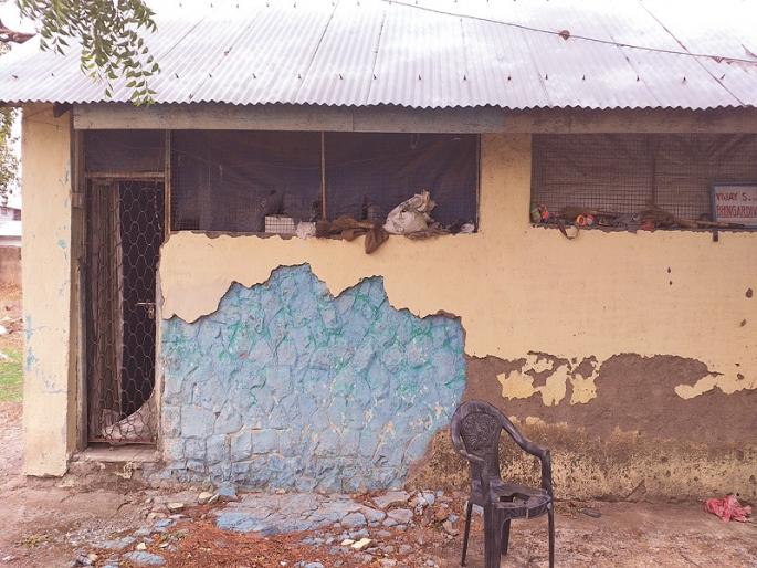 Bhangar police colony surrounded by the villagers | बाभळींनी वेढली भिंगार पोलीस कॉलनी Bhangar police colony surrounded by the villagers | बाभळींनी वेढली भिंगार पोलीस कॉलनी