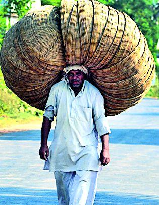 The photo of the store is the top in the state | भंडाऱ्याचे छायाचित्र राज्यात अव्वल The photo of the store is the top in the state | भंडाऱ्याचे छायाचित्र राज्यात अव्वल