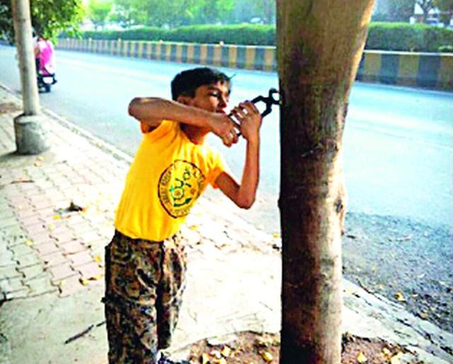 The people with the need for Nile-free tree campaign | खिळेमुक्त वृक्ष अभियानाला हवी जनतेची साथ