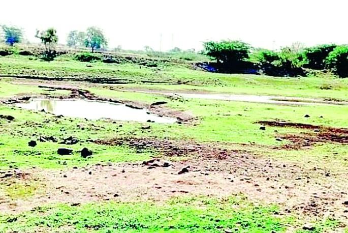 Many medium and small lakes in the Kardi area are dry | करडी परिसरातील अनेक मध्यम व लघु तलाव कोरडे Many medium and small lakes in the Kardi area are dry | करडी परिसरातील अनेक मध्यम व लघु तलाव कोरडे