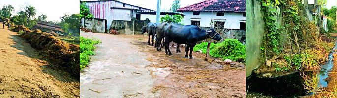 Cleanliness campaign for photography | स्वच्छता अभियान छायाचित्रापुरते Cleanliness campaign for photography | स्वच्छता अभियान छायाचित्रापुरते