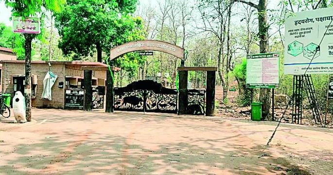 Sanctuary ready for nature experience in lakhs of moonlight | लख्ख चंद्रप्रकाशात निसर्गानुभवासाठी अभयारण्य सज्ज Sanctuary ready for nature experience in lakhs of moonlight | लख्ख चंद्रप्रकाशात निसर्गानुभवासाठी अभयारण्य सज्ज