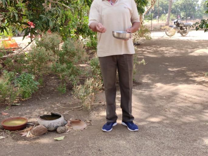 Various fruit trees for birds in the Brahmannagar area | ब्राह्मणगाव परिसरात पक्ष्यांसाठी विविध फळझाडे Various fruit trees for birds in the Brahmannagar area | ब्राह्मणगाव परिसरात पक्ष्यांसाठी विविध फळझाडे