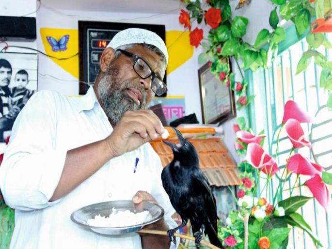 Avalia, who pays for 7,000 rupees of animals and birds | पशू, पक्ष्यांसाठी मासिक ७ हजारांची पदरमोड करणारा अवलिया Avalia, who pays for 7,000 rupees of animals and birds | पशू, पक्ष्यांसाठी मासिक ७ हजारांची पदरमोड करणारा अवलिया