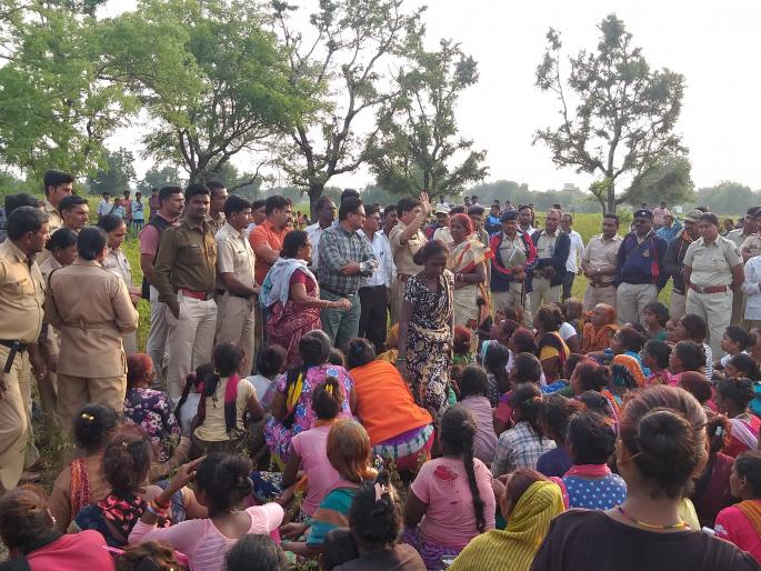 Tiger offenses in timber protected forests | व्याघ्र संरक्षित जंगलातील वृक्षतोड प्रकरणी गुन्हे दाखल Tiger offenses in timber protected forests | व्याघ्र संरक्षित जंगलातील वृक्षतोड प्रकरणी गुन्हे दाखल