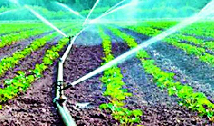 Farmers suicidal: 11 cases pending for rehabilitation | शेतकरी आत्महत्येची ११ प्रकरणे फेरचौकशीसाठी प्रलंबित Farmers suicidal: 11 cases pending for rehabilitation | शेतकरी आत्महत्येची ११ प्रकरणे फेरचौकशीसाठी प्रलंबित