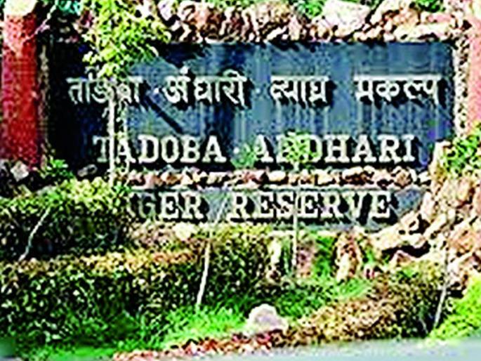 Victims taken with a poor security arrangement | ढिसाळ सुरक्षा व्यवस्थेने घेतला बळी Victims taken with a poor security arrangement | ढिसाळ सुरक्षा व्यवस्थेने घेतला बळी