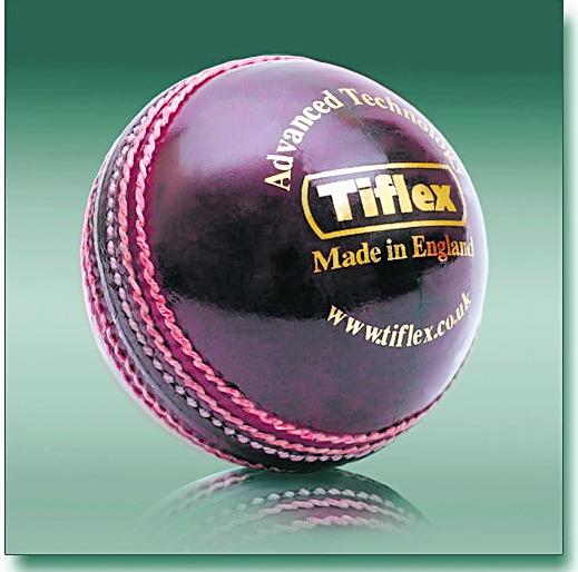 The winner of the Maharashtra Red team in the CA sports event | सीए क्रीडा स्पर्धेमध्ये महाराष्ट्र रेड संघ विजेता