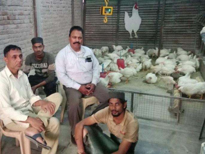 Hunger time on chickens professionals | कोबडी व्यावसायिकांवर उपासमारीची वेळ Hunger time on chickens professionals | कोबडी व्यावसायिकांवर उपासमारीची वेळ