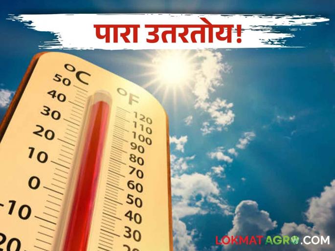 Maharashtra Temperature: The mercury is slowly coming down! Temperature drop in Marathwada along with Madhya Maharashtra in the state | Maharashtra Temperature: पारा हळूहळू उतरतोय! राज्यात मध्य महाराष्ट्रासह मराठवाड्यात तापमानात घट Maharashtra Temperature: The mercury is slowly coming down! Temperature drop in Marathwada along with Madhya Maharashtra in the state | Maharashtra Temperature: पारा हळूहळू उतरतोय! राज्यात मध्य महाराष्ट्रासह मराठवाड्यात तापमानात घट