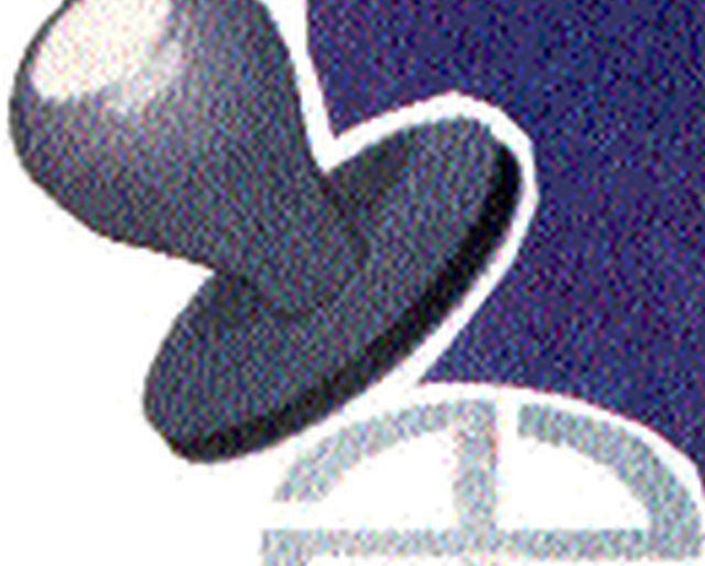 The recommendation of the name of the Congress from the Congress | कॉँग्रेसकडून लोकसभेच्या नावाची शिफारस