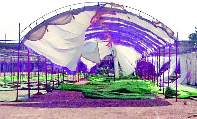 There will be 25 thousand Sociabandh | २५ हजार समाजबांधव येणार There will be 25 thousand Sociabandh | २५ हजार समाजबांधव येणार