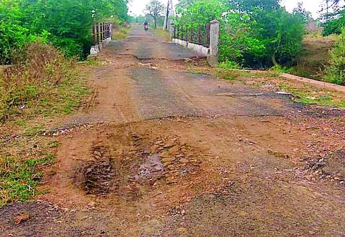 Internal roads in Bhendala area are paved | भेंडाळा परिसरातील अंतर्गत रस्ते खड्डेमय