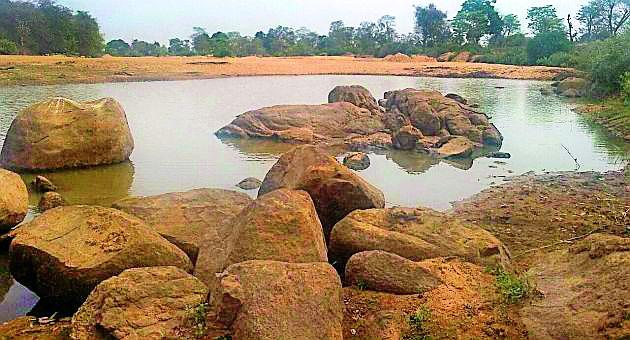 Gorgias reach the destination | गोरजाई डोहाने गाठला तळ Gorgias reach the destination | गोरजाई डोहाने गाठला तळ