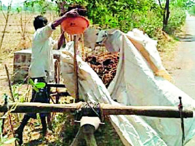 Speed of pre-farmer cultivation | खरीपपूर्व शेती मशागतीला वेग Speed of pre-farmer cultivation | खरीपपूर्व शेती मशागतीला वेग