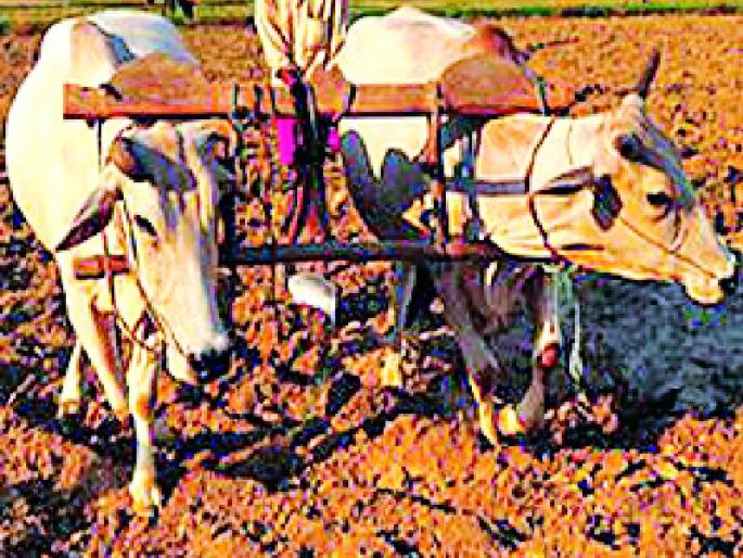 Millions of expenditure on agricultural technology | कृषी तंत्रज्ञानावर लाखोंचा खर्च Millions of expenditure on agricultural technology | कृषी तंत्रज्ञानावर लाखोंचा खर्च