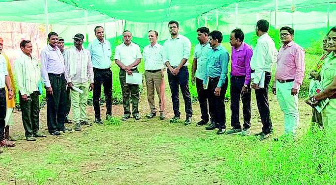 Vaidyaraja knew about herbal medicine | वैद्यराजांनी जाणली वनौषधींची माहिती Vaidyaraja knew about herbal medicine | वैद्यराजांनी जाणली वनौषधींची माहिती