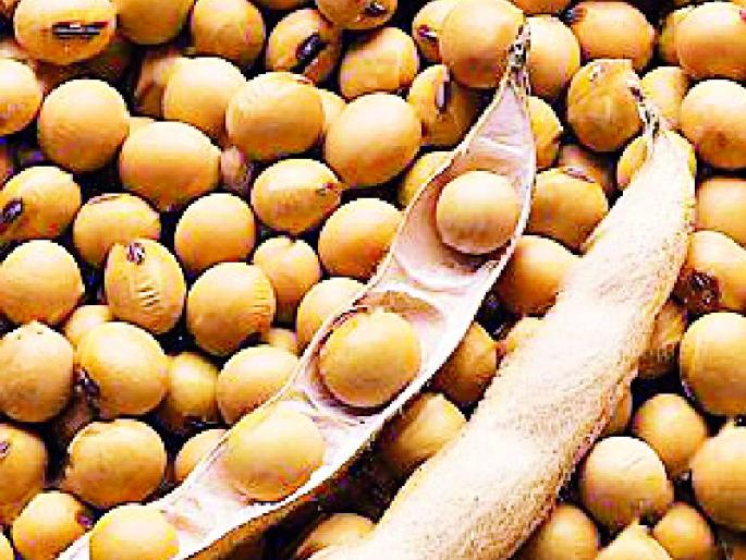 Direct subsidy for seeds now | बियाण्यांसाठी आता थेट अनुदान Direct subsidy for seeds now | बियाण्यांसाठी आता थेट अनुदान