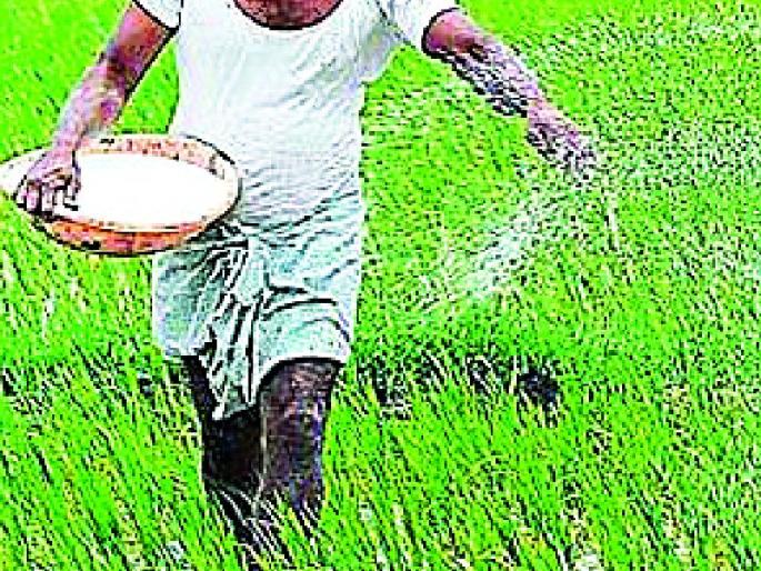 19 thousand metric tons of fertilizer available | १९ हजार मेट्रिक टन खत उपलब्ध