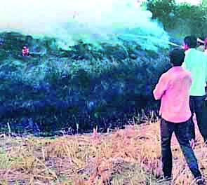 Paddy straw blaze fire during ditch | मळणीदरम्यान धान पुंजण्याला आग Paddy straw blaze fire during ditch | मळणीदरम्यान धान पुंजण्याला आग