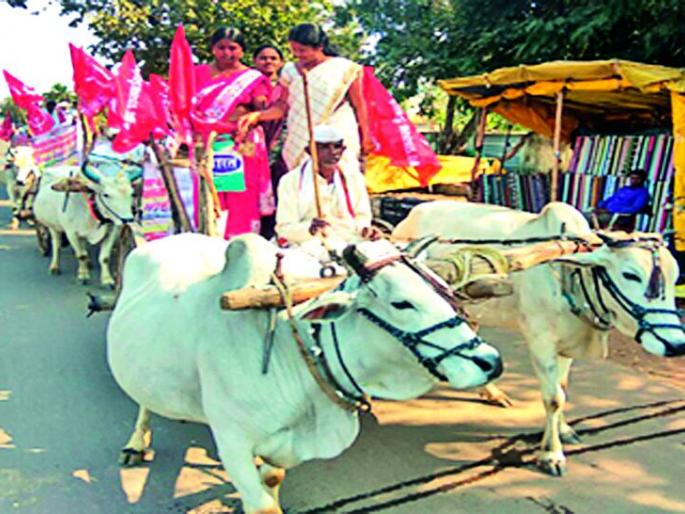 Shekap's District Cauchery Ballbandi Morcha | शेकापचा जिल्हा कचेरीवर बैलबंडी मोर्चा Shekap's District Cauchery Ballbandi Morcha | शेकापचा जिल्हा कचेरीवर बैलबंडी मोर्चा