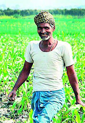  So far 23 thousand farmers have waived debt | आतापर्यंत २३ हजार शेतकऱ्यांचे कर्ज माफ