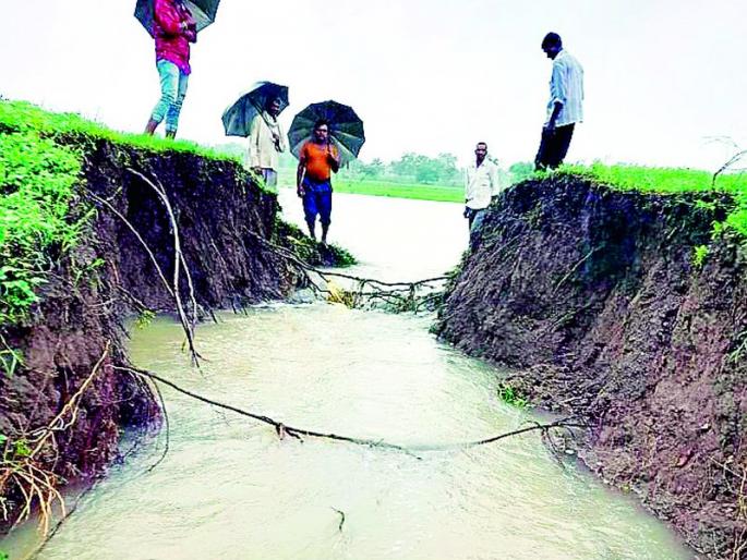 The lake itself has damaged hundreds of hectares of agriculture | तलावानेच केले शेकडाे हेक्टर शेतीचे नुकसान The lake itself has damaged hundreds of hectares of agriculture | तलावानेच केले शेकडाे हेक्टर शेतीचे नुकसान