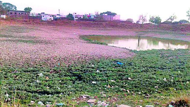 38 thousand hectare irrigation in the area | ३८ हजार हेक्टर क्षेत्रातील सिंचन अडले