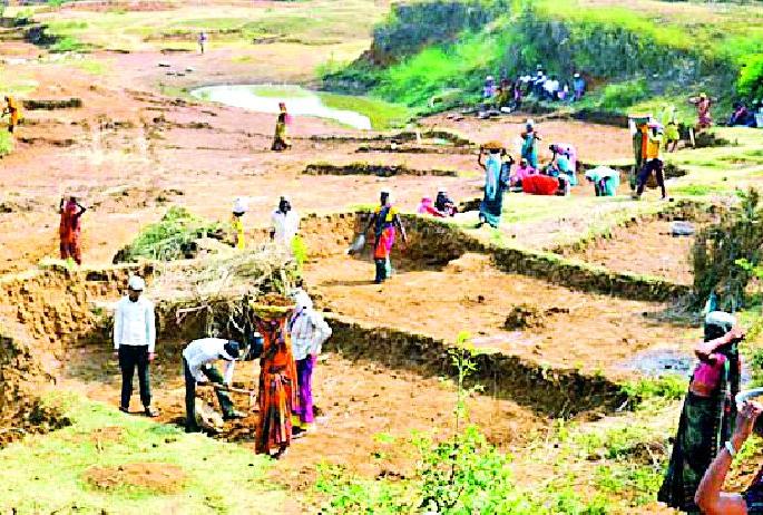Bogus laborers at MNREGA work | मनरेगाच्या कामावर बोगस मजूर Bogus laborers at MNREGA work | मनरेगाच्या कामावर बोगस मजूर