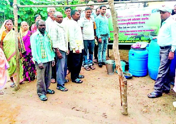 Wine Farming for Farmers | सेंद्रीय शेती शेतकऱ्यांसाठी वरदान