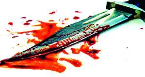 Two bodies found in the forest of Mandodawi | मांडोदेवीच्या जंगलात आढळले दोन मृतदेह