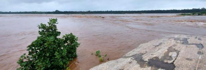 In Gondia district, the Bagh river crossed the danger level; Warning to the riverside villages | गोंदिया जिल्ह्यात बाघ नदीने धोक्याची पातळी ओलांडली; नदीकाठच्या गावांना सतर्कतेचा इशारा