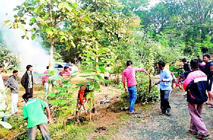 Police colonies lifted the youth cleanliness | पोलीस वसाहतीच्या स्वच्छतेचा युवकांनी उचलला विडा