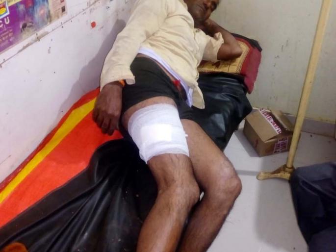 Randukar Farmer Attack | रानडुकराचा शेतकऱ्यावर हल्ला Randukar Farmer Attack | रानडुकराचा शेतकऱ्यावर हल्ला