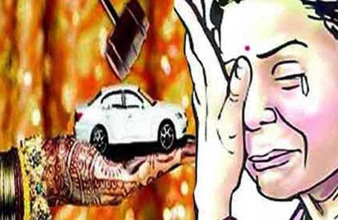  1225 incidents in the district of Family violence | कौटुंबिक हिंसाचाराच्या जिल्ह्यात १२२५ घटना