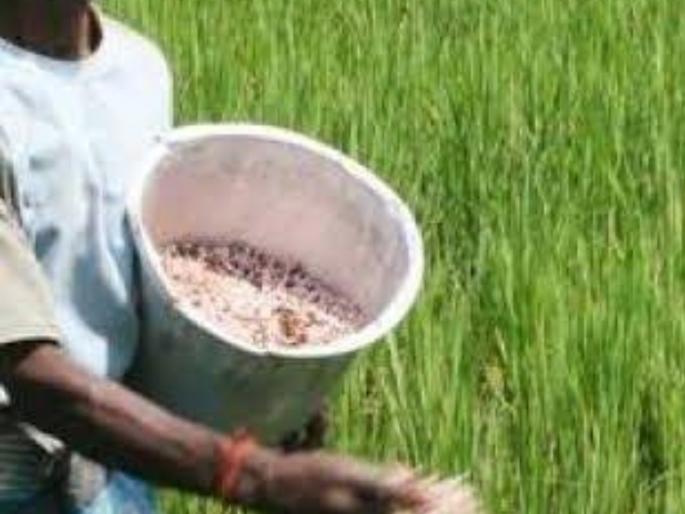 Urea shortage in Yeola taluka | येवला तालुक्‍यात युरियाची टंचाई