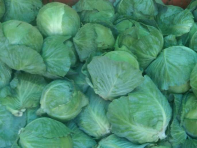 Corona hits vegetable growers | कोरोनाचा भाजीपाला उत्पादकांना फटका Corona hits vegetable growers | कोरोनाचा भाजीपाला उत्पादकांना फटका