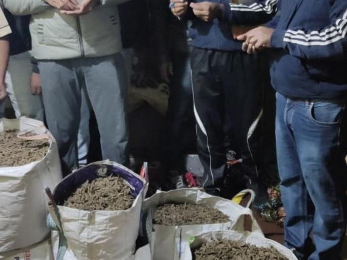 1 kg of marijuana seized of Rs | ३५ लाखांचा ७१ किलो गांजा जप्त 1 kg of marijuana seized of Rs | ३५ लाखांचा ७१ किलो गांजा जप्त