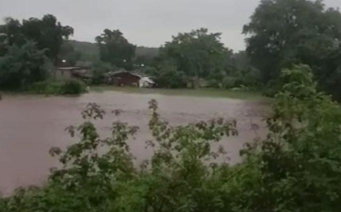 Village drowned! The dam of the lake burst and 'Junapani' village became waterlogged! | जलप्रकोप! जुनापाणी गाव पहाटेच्या झोपेत असताना तलाव फुटला; १३ हेक्टर शेती पाण्याखाली, १८१ जनावरे वाहून गेली Village drowned! The dam of the lake burst and 'Junapani' village became waterlogged! | जलप्रकोप! जुनापाणी गाव पहाटेच्या झोपेत असताना तलाव फुटला; १३ हेक्टर शेती पाण्याखाली, १८१ जनावरे वाहून गेली