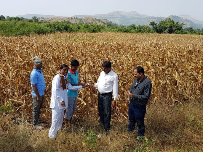 The demand for declaration of Kalwan taluka as drought | कळवण तालुका दुष्काळी जाहीर करण्याची मागणी The demand for declaration of Kalwan taluka as drought | कळवण तालुका दुष्काळी जाहीर करण्याची मागणी