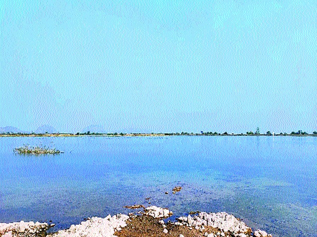 Availability of water, bait | पाणी, चाऱ्याची उपलब्धता Availability of water, bait | पाणी, चाऱ्याची उपलब्धता