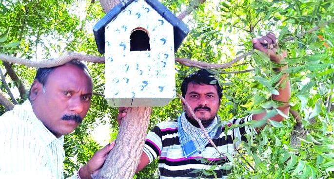 Bird Week concludes with nesting in Khamgaon | खामगावात घरटे लावून पक्षी सप्ताहाचा समारोप Bird Week concludes with nesting in Khamgaon | खामगावात घरटे लावून पक्षी सप्ताहाचा समारोप