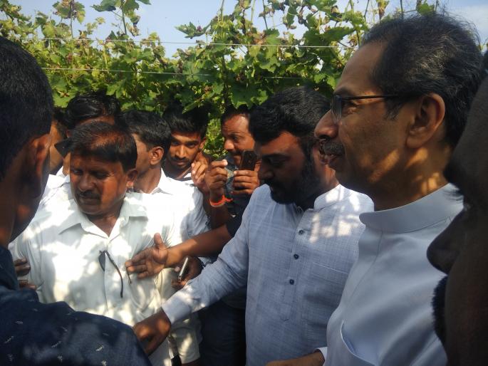 Udhav Thackeray: Damage caused by premature is irreversible | अवकाळीमुळे झालेले नुकसान मोजदाद न करता येणारे : उद्धव ठाकरे Udhav Thackeray: Damage caused by premature is irreversible | अवकाळीमुळे झालेले नुकसान मोजदाद न करता येणारे : उद्धव ठाकरे