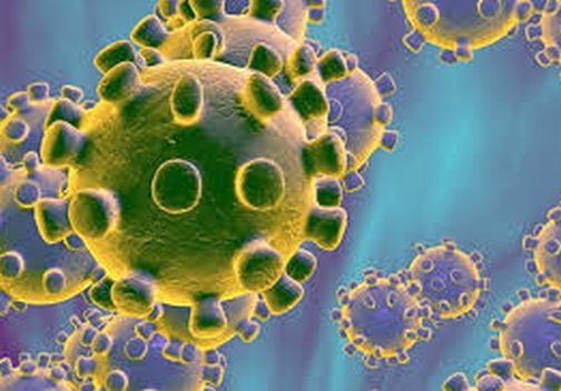 All three specimens from the Chinchpada that came in contact with the coronavidity were washed away | कोरोनाबाधिताच्या संपर्कात आलेल्या चिंचपाड्यातील तिघांचे नमुने धुळ्याला